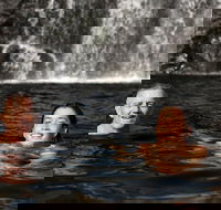 3 Day 4WD Dragonfly Dreaming Top End Safari - Accommodation in Bendigo