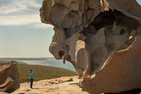 Kangaroo Island In A Day Tour From Adelaide - Accommodation in Bendigo 5