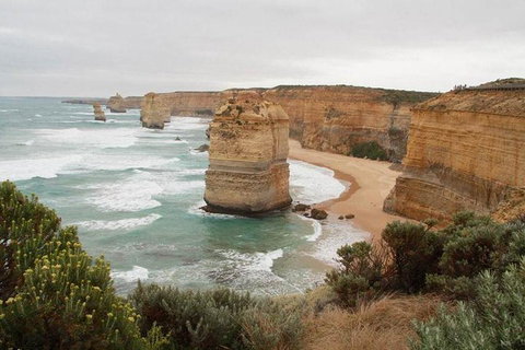 Private Tour: Great Ocean Road From Melbourne - Accommodation in Bendigo 2