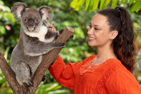 Kuranda Wildlife Experience Three Attraction Pass - Accommodation in Bendigo 4