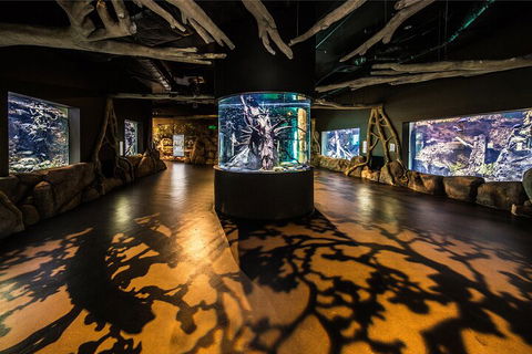 Cairns Aquarium Tour By Twilight With Drink And Appetiser - Accommodation in Bendigo 1