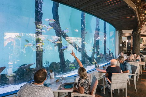 Cairns Aquarium Tour By Twilight With Drink And Appetiser - Accommodation in Bendigo 3