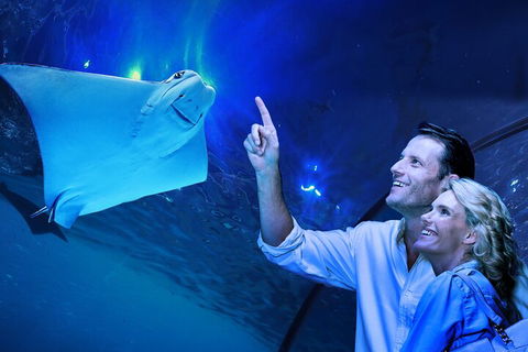 Cairns Aquarium Tour By Twilight With Drink And Appetiser - Accommodation in Bendigo 4