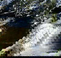 Cradle Mountain Day Tour from Launceston Including Lunch - Accommodation in Bendigo