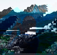 Cradle Mountain Park Explorer Guided Tour - Accommodation in Bendigo