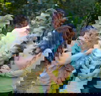 Small-Group Australia Zoo Day Trip from Brisbane - Accommodation in Bendigo