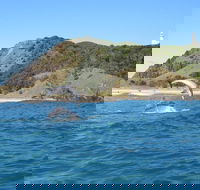 Kayaking with Dolphins in Byron Bay Guided Tour - Accommodation in Bendigo