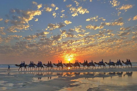 Broome City Sightseeing Tour With Optional Camel Ride - Accommodation in Bendigo 1