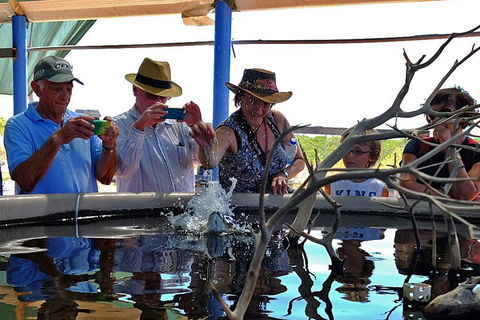 Cape Leveque 4WD Tour From Broome With Optional Return Flight - Accommodation in Bendigo 0