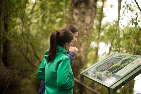 Strahan Day Trip By Air From Hobart Including A Gordon River Cruise - Accommodation in Bendigo 5