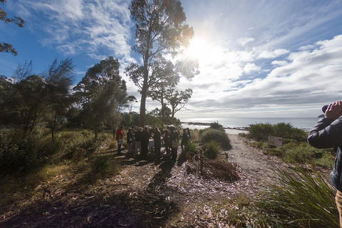 Bruny Island Day Tour, Includes Lunch And Exclusive Lighthouse Tour - Accommodation in Bendigo 5