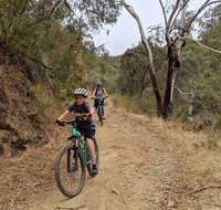 Mount Lofty Descent Bike Tour from Adelaide