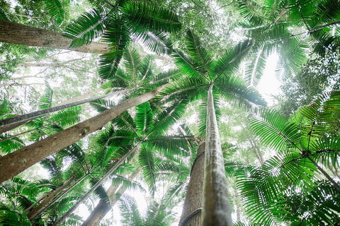 Fraser Explorer K'gari 2-Day Tour - Accommodation in Bendigo 2