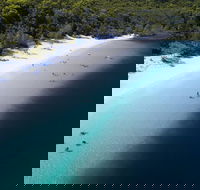 All-Inclusive Fraser Island Day Tour - Accommodation in Bendigo
