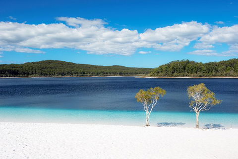 All-Inclusive Fraser Island Day Tour - Accommodation in Bendigo 3