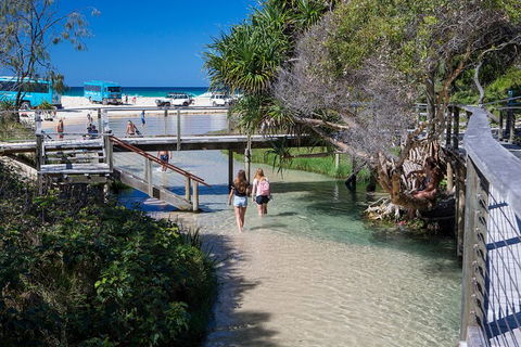 All-Inclusive Fraser Island Day Tour - Accommodation in Bendigo 4