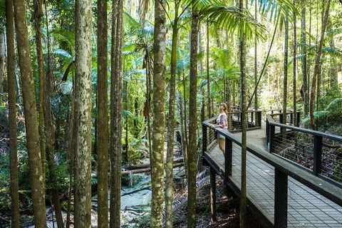 All-Inclusive Fraser Island Day Tour - Accommodation in Bendigo 5