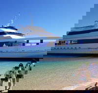 Moreton Island Day Trip Kayak Snorkel  Sandboard frm Brisbane or Gold Coast - Accommodation in Bendigo