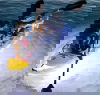 2-Day Moreton Island Tour from Brisbane or Gold Coast with Optional Nighttime Kayaking - Accommodation in Bendigo