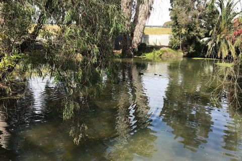 Perth East Foreshore And City Segway Tour - Accommodation in Bendigo 1