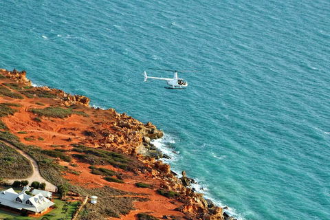 Half-Day Willie Creek Pearl Farm Tour With Helicopter Flight - Accommodation in Bendigo 4
