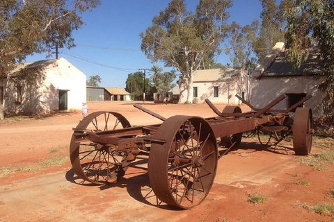 Palm Valley 4WD Day Tour - Accommodation in Bendigo 0