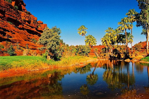 Palm Valley 4WD Day Tour - Accommodation in Bendigo 2
