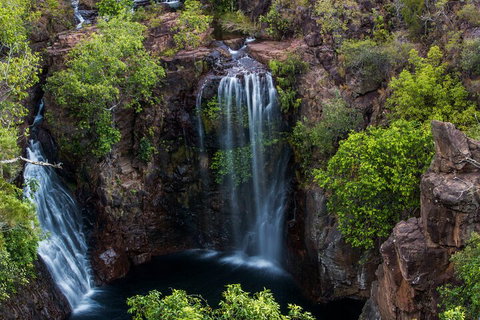 Litchfield National Park - Top End Day Tour From Darwin - Accommodation in Bendigo 2