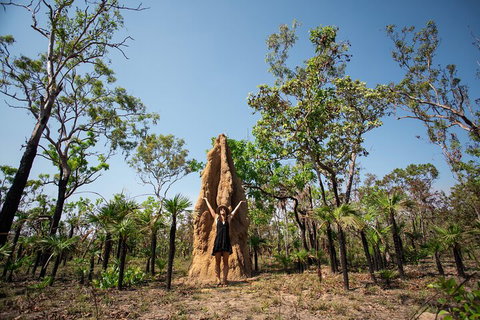 Litchfield National Park - Top End Day Tour From Darwin - Accommodation in Bendigo 5