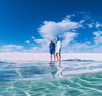 4-Day Coastal Loop via Monkey Mia Wild Dolphins Kalbarri Pinnacles Perth Return