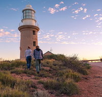 6-Day Coral Coaster from Perth to Exmouth One-Way via Monkey Mia Ningaloo Reef