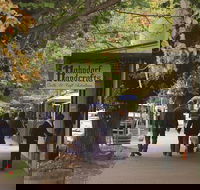 Adelaide Highlights Hahndorf  McLaren Vale Wine Tasting and Sightseeing Tour - Accommodation in Bendigo
