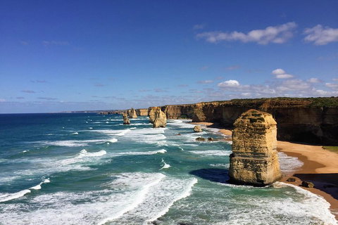 Great Ocean Road Reverse Itinerary PREMIUM Tour - Accommodation in Bendigo 2
