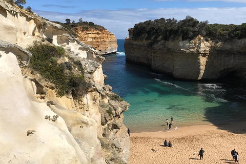 Great Ocean Road Reverse Itinerary PREMIUM Tour - Accommodation in Bendigo 3