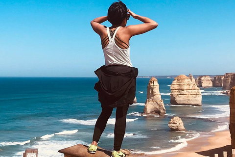Great Ocean Road Reverse Itinerary PREMIUM Tour - Accommodation in Bendigo 4