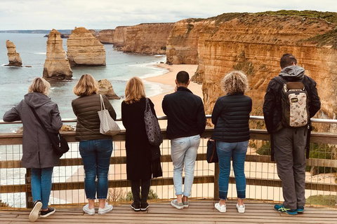 Great Ocean Road Reverse Itinerary PREMIUM Tour - Accommodation in Bendigo 5
