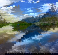 Noosa Everglades Serenity Cruise  Highlights Tour Inc. Lunch  Cruise - Accommodation in Bendigo