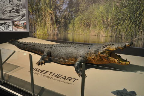 Explore Darwin City Sights Including Key Attractions - Accommodation in Bendigo 2