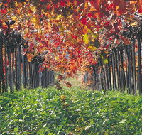 Margaret River Private Tour