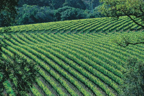 Margaret River Private Tour - Accommodation in Bendigo 4