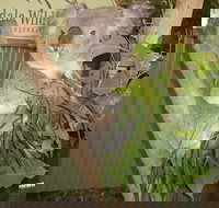 Blue Mountains Private Full-Day Tour from Sydney with Cruise - Accommodation in Bendigo