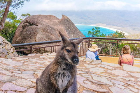 Wineglass Bay & Freycinet NP Full Day Tour From Hobart Via Richmond Village - Accommodation in Bendigo 0