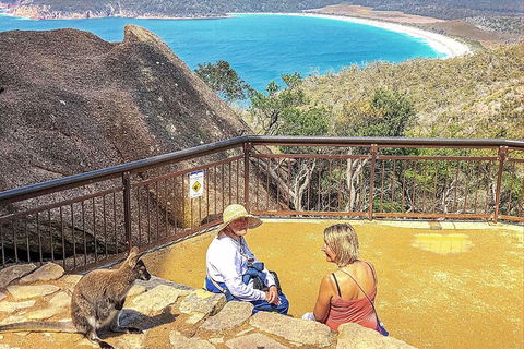 Wineglass Bay & Freycinet NP Full Day Tour From Hobart Via Richmond Village - Accommodation in Bendigo 1