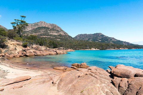 Wineglass Bay & Freycinet NP Full Day Tour From Hobart Via Richmond Village - Accommodation in Bendigo 5