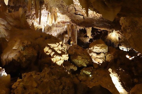Ngilgi Cave Semi-guided Tour - Accommodation in Bendigo 3