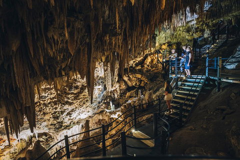 Ngilgi Cave Semi-guided Tour - Accommodation in Bendigo 5