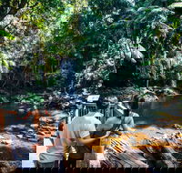 Aquaduck  Your choice of Gold Coast Rainforest Tour - Accommodation in Bendigo