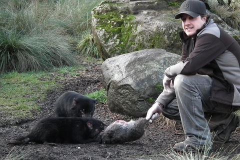 After Dark Tasmanian Devil Feeding Tour At Cradle Mountain - Accommodation in Bendigo 2