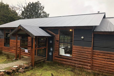 After Dark Tasmanian Devil Feeding Tour At Cradle Mountain - Accommodation in Bendigo 3