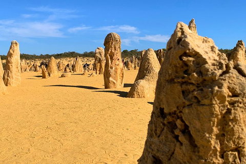 Pinnacles Desert (Private) Day Tour - Accommodation in Bendigo 0